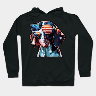 Pointer dog 4th of July Hoodie